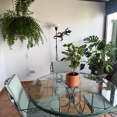 Dom wakacyjny Casa Daniela Tahiche