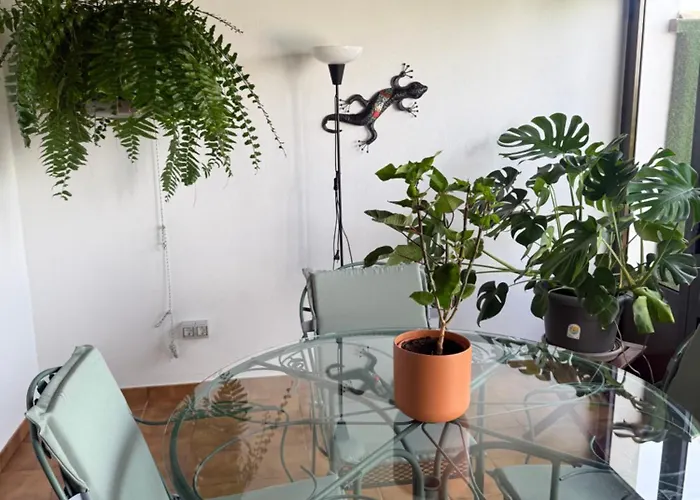 Hébergement de vacances Casa Daniela Tahiche